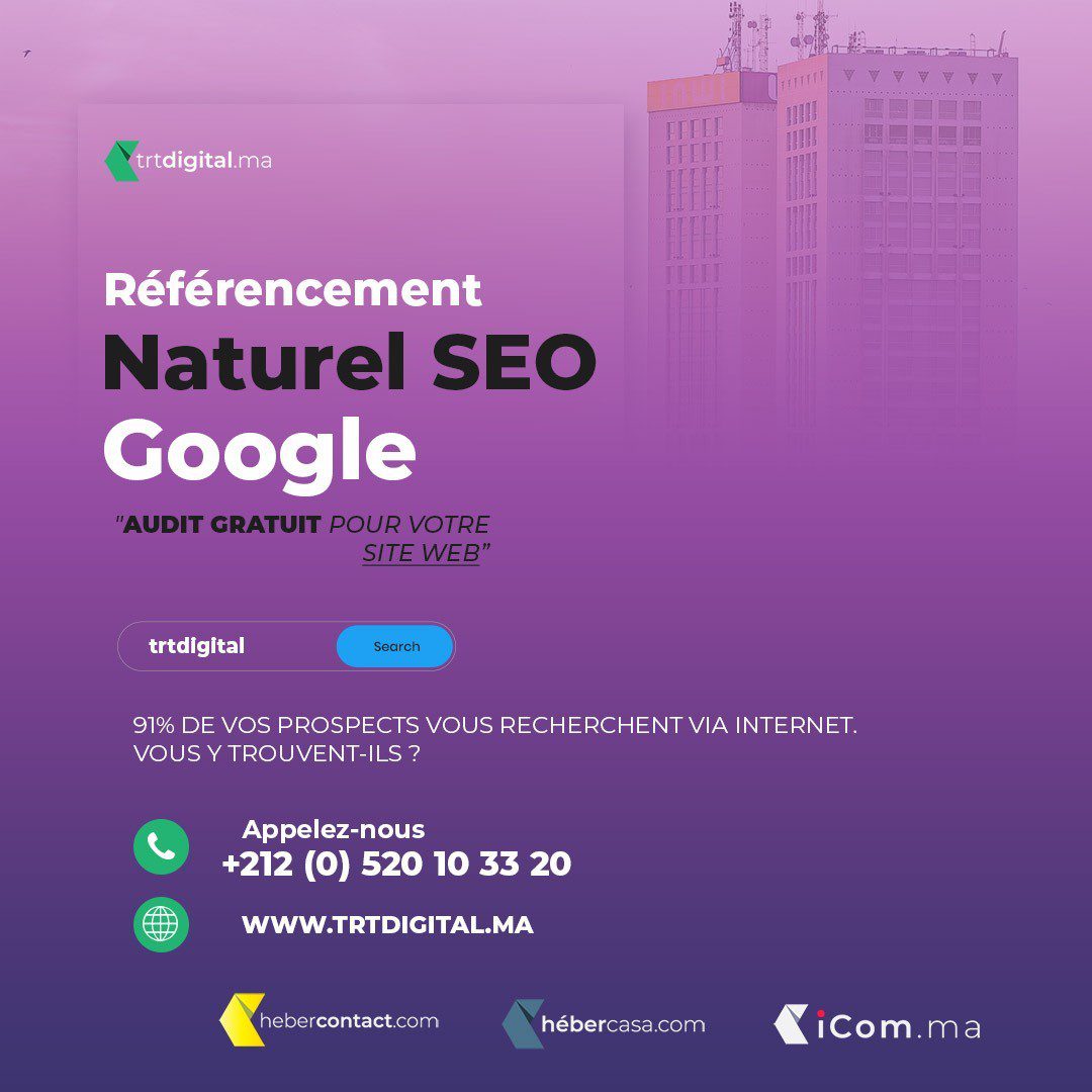 Référencement Naturel SEO Google